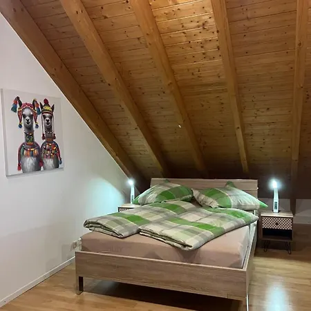 Zentral In - Konus Gaestekarte Inklusive Apartment Lorrach